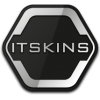 ITSKINS